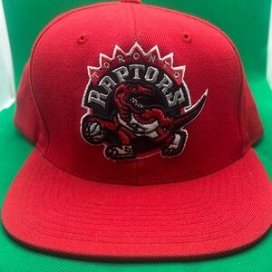 Toronto Raptors SnapBack